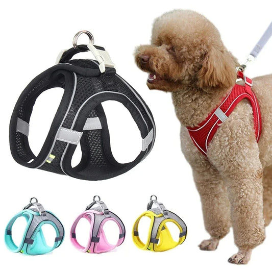 Dog Harness & Leash