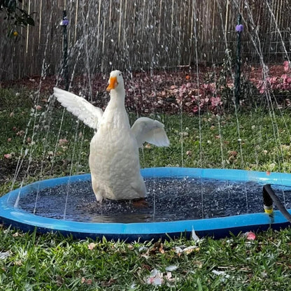 The Paw Pool Sprinkler Edition