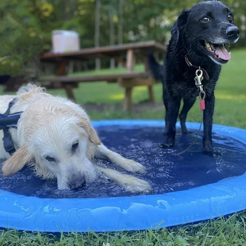 The Paw Pool Sprinkler Edition